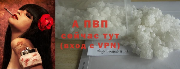 ПСИЛОЦИБИНОВЫЕ ГРИБЫ Бронницы
