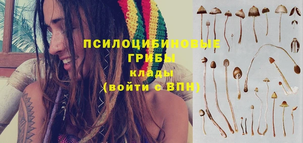 дурь Верхний Тагил