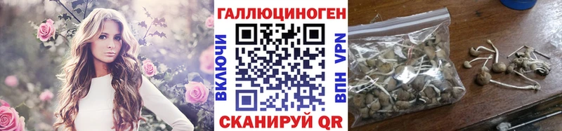 Галлюциногенные грибы MAGIC MUSHROOMS  закладки  Шадринск 